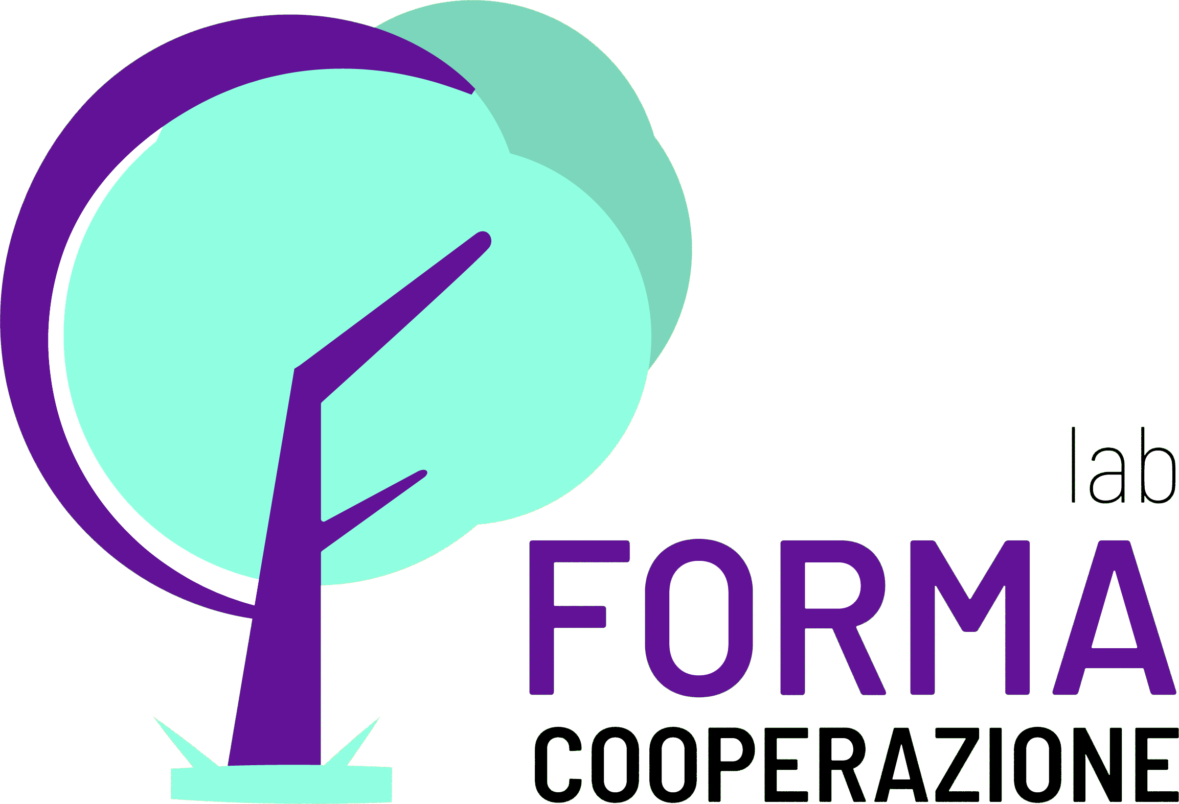 Formacooperazione logo